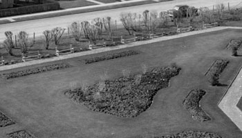 City Hall Park in 1956. 