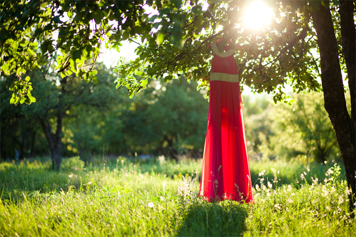 Red dress hanging in a tree