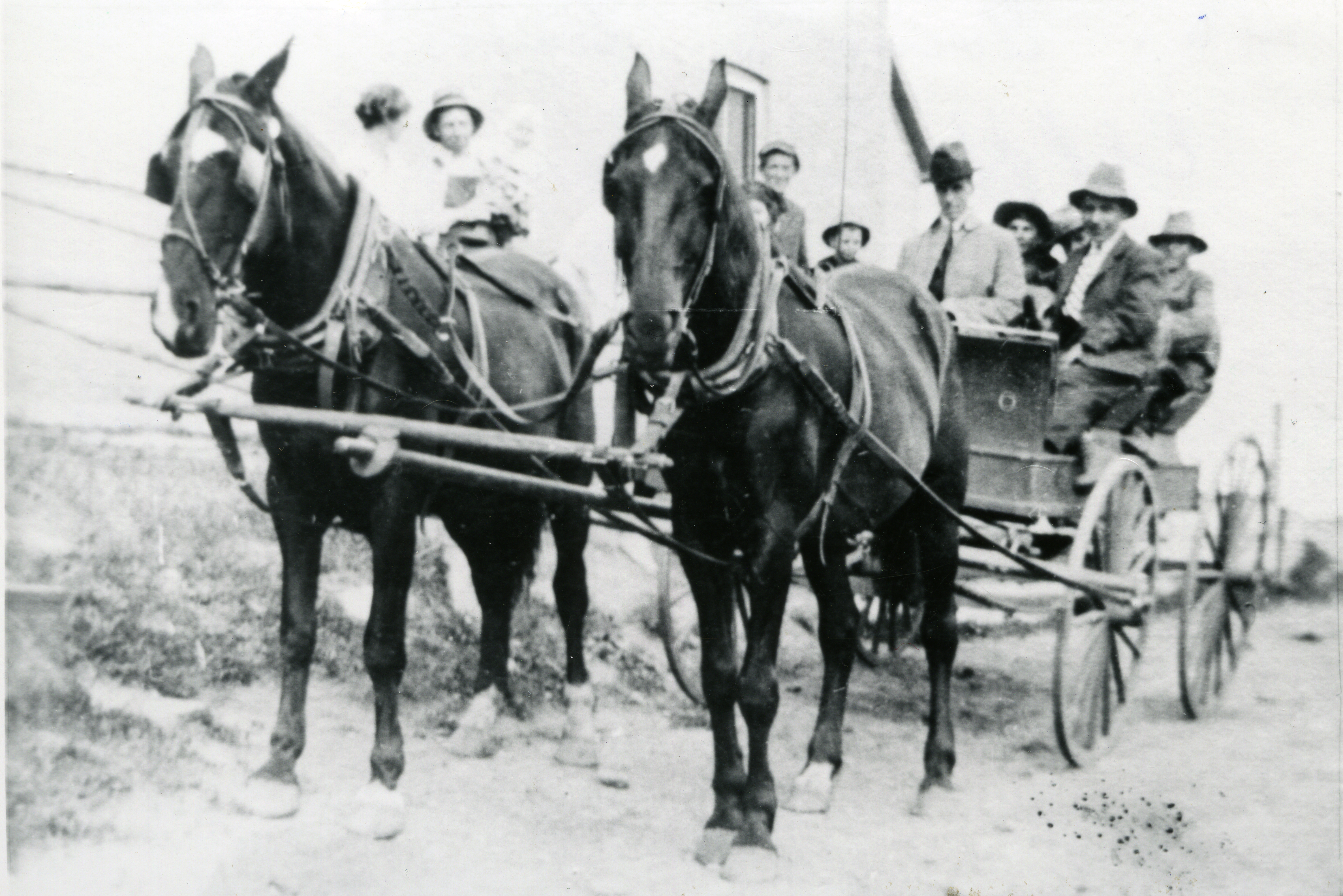 Students of the Indian Industrial School in a horse and buggy or wagon going in to Red Deer, Alberta