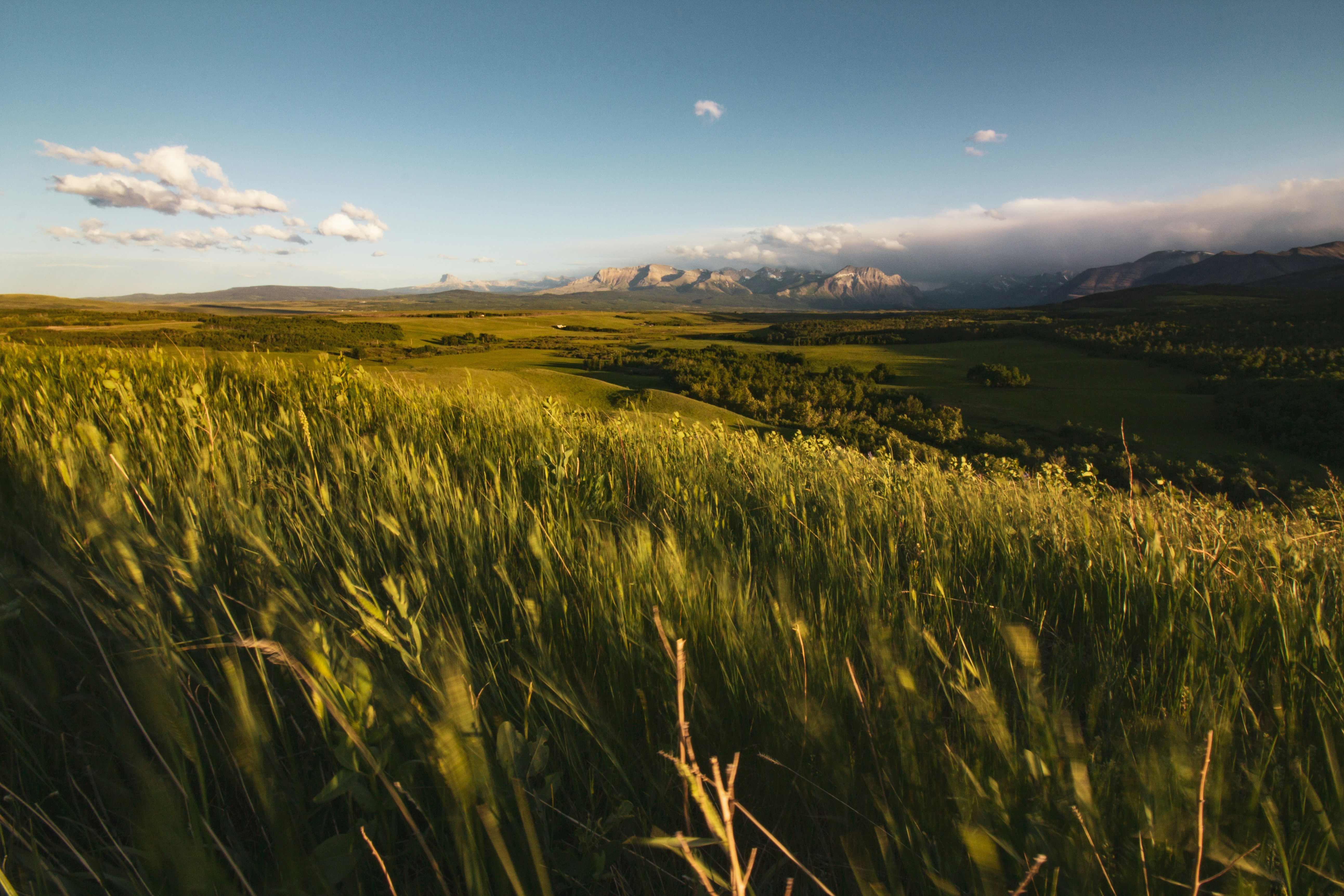 A photo of Alberta, Canada