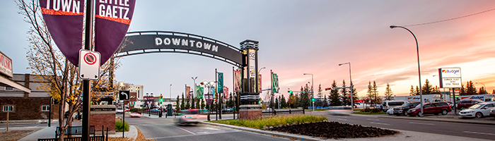 Downtown Arch Image