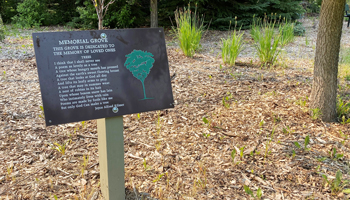 A photo of a plaque at a memorial tree garden