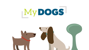 MyDogs 350x200 PNG Transparent