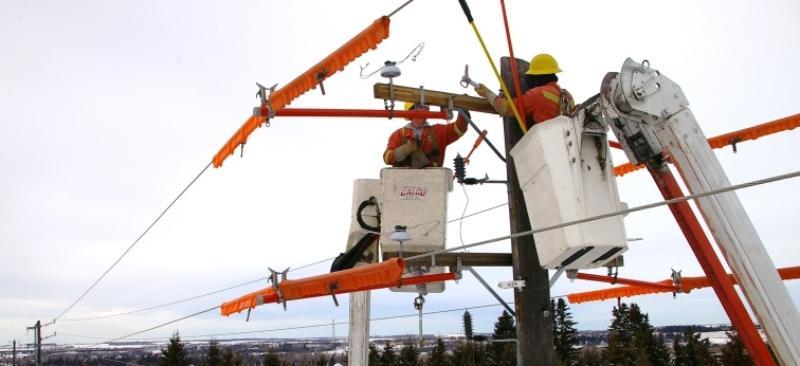 ELP Overhead bucket work