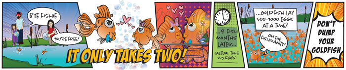 Goldfish It Only Takes Two Cartoon