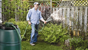 Man using a rain barrel to water his garden