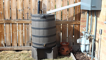 photo of a rain barrel  set up in a yard with a down spout feeding into it