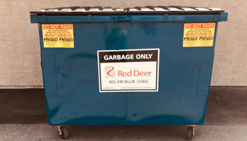 Commercial garbage bin