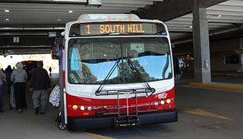 City of Red Deer Transit Bus