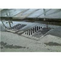 Storm grate