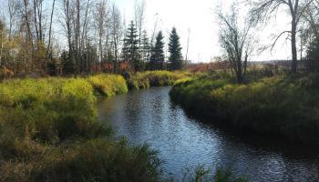 Waste Water Treatment Plant Discharge