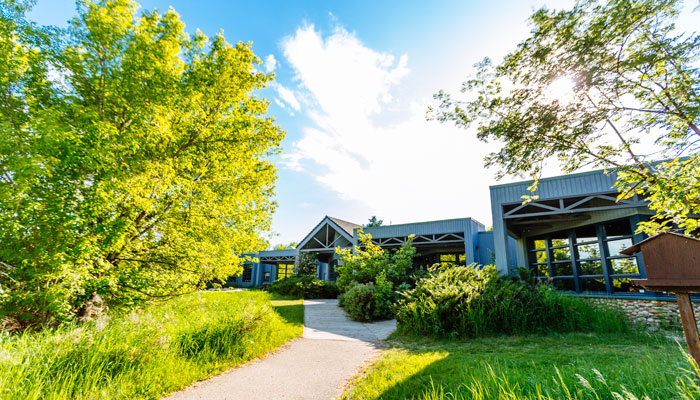 Pathway up to the Kerry Wood Nature Centre