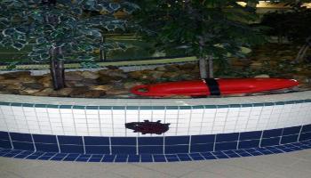 Glass mosiac tils in the shape of a lady bug on the side of a tiled wall in the swimming pool.