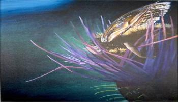 Diving Bee - Devon Coles