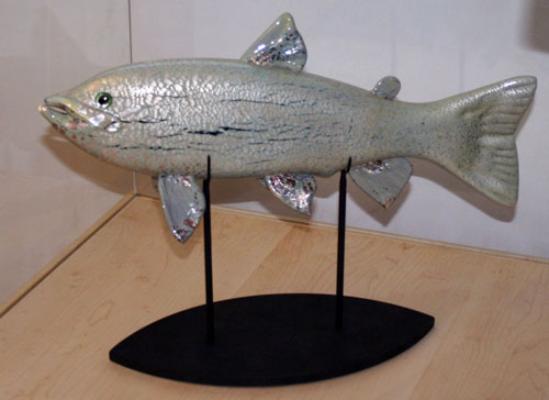 Silver Trout - Darren Petersen (2)