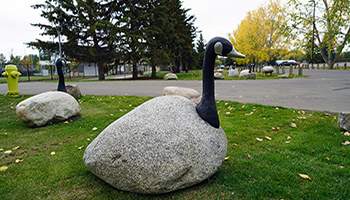 Great Chief Park Public Art