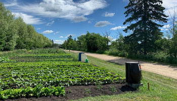 Piper Creek Garden Main Entrance