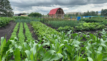 Piper Creek Garden