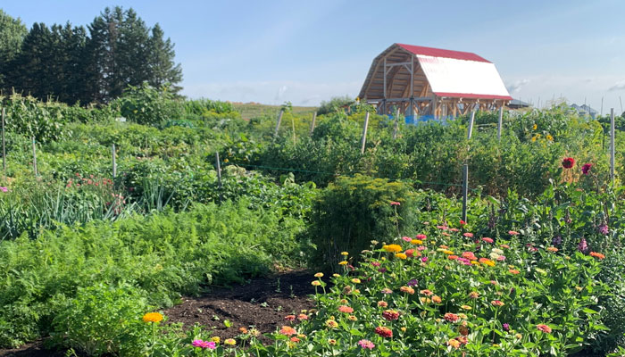 Piper Creek Garden with barn in background
