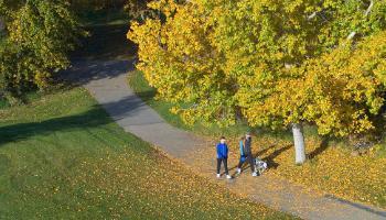 Bower Ponds trail walk