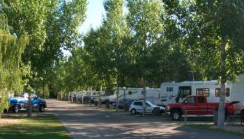View of the Lion's Campground filled with campers.