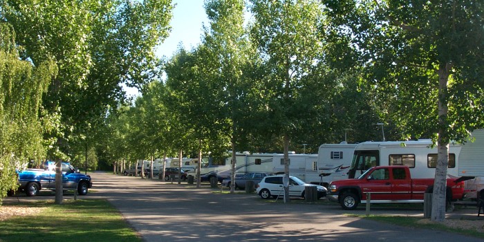 View of the Lion's Campground filled with campers.