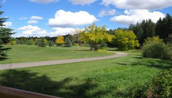 Barrett Park Trail