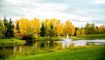 Photo of Bower Ponds fountain and bridge