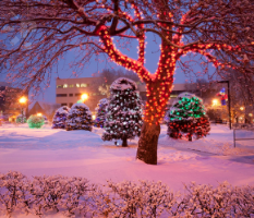 City Hall Park 