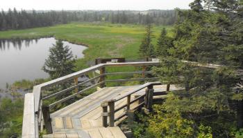 Gaetz Lakes Sanctuary