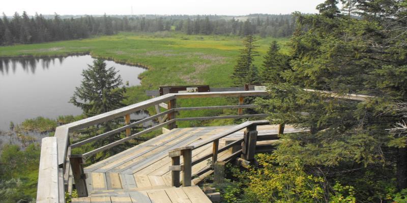 Gaetz Lakes Sanctuary