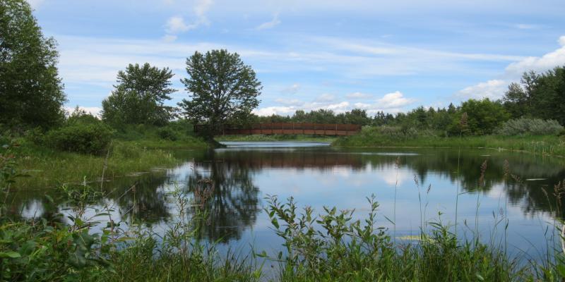 McKenzie Trails Recreation Area