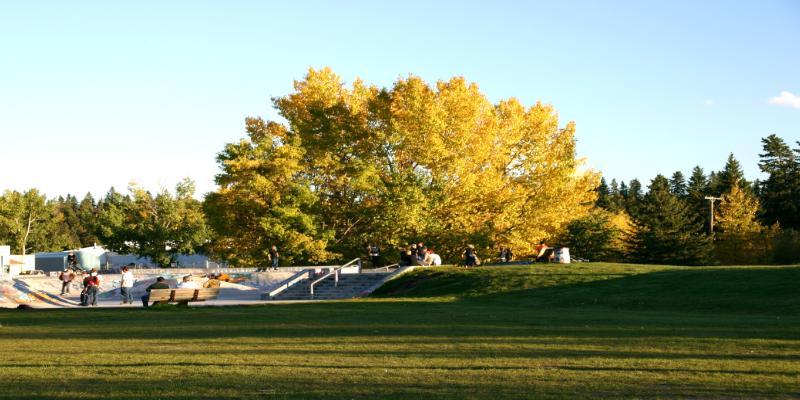 Red Deer Skatepark