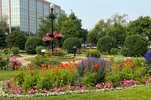 Photo of pink, purple, orange and yellow flowers