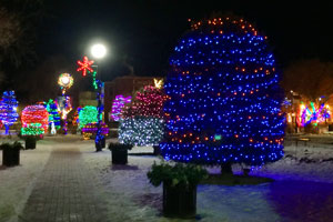 Photo of City-Hall-Park---Winter-landscape