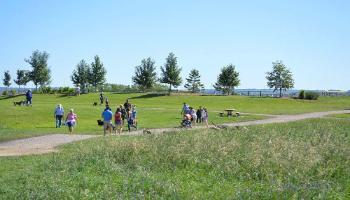 People walking their dogs at Oxbows Off Leash Dog Park