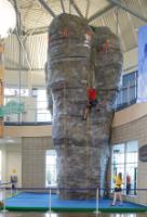 Collicutt Centre climbing wall -Mr Big-2