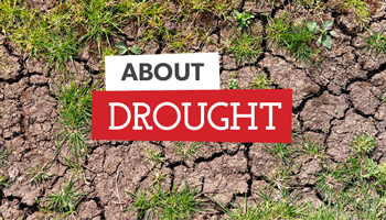 About Drought